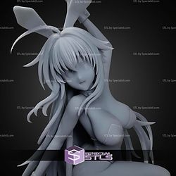 Rabbit Rias Gremory Highschool DxD STL Files