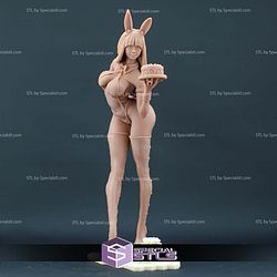 Rabbit Waitress STL Files