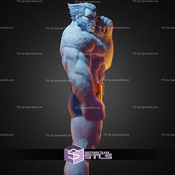 Beast in Glasses STL Files