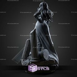 Absolute Wonder Woman 236mm STL Files