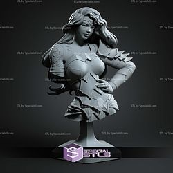 Absolute Wonder Woman Bust 113mm STL Files