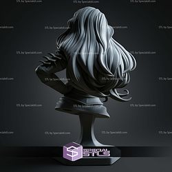 Absolute Wonder Woman Bust 113mm STL Files