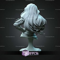 Absolute Wonder Woman Bust 113mm STL Files
