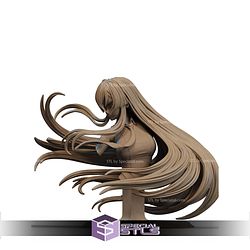 Akame Akame Ga Kill Red Bust STL Files