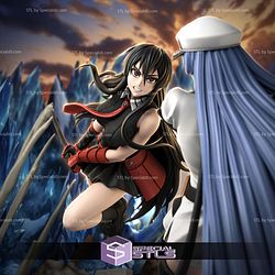 Akame Vs Esdeath Battle 360mm STL Files