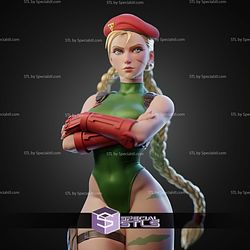 Cammy Stand Alone Pose STL Files