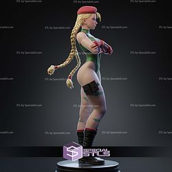 Cammy Stand Alone Pose STL Files