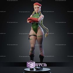 Cammy Stand Alone Pose STL Files