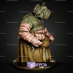 Crones Brewess The Witcher 3 1 6 STL Files