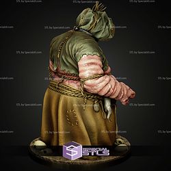 Crones Brewess The Witcher 3 1 6 STL Files