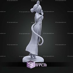 Dress Hakoz Baelz 1 7 STL Files