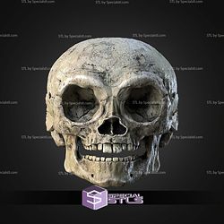 Ewok Skull Wall Mount STL Files