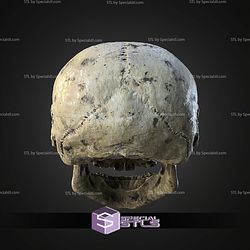 Ewok Skull Wall Mount STL Files