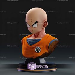 Krillin Bust STL Files