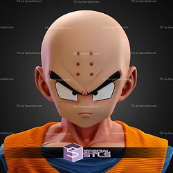 Krillin Bust STL Files