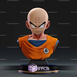 Krillin Bust STL Files