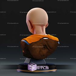 Krillin Bust STL Files