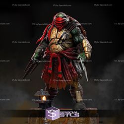 Raphael in Ronin Version from TMNT