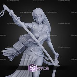 Minomoto No Raikou Fate GO 260mm STL Files
