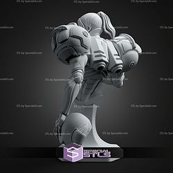 Samus And Enemy Body Bust STL Files