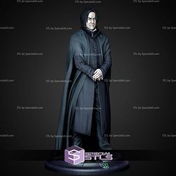 Severus Snape Museum Pose 1 6 Harry Potter STL Files