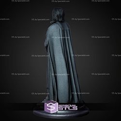 Severus Snape Museum Pose 1 6 Harry Potter STL Files