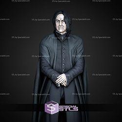 Severus Snape Museum Pose 1 6 Harry Potter STL Files