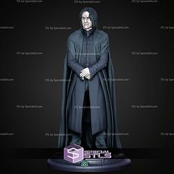 Severus Snape Museum Pose 1 6 Harry Potter STL Files