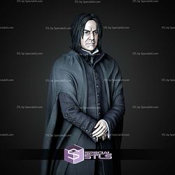 Severus Snape Museum Pose 1 6 Harry Potter STL Files