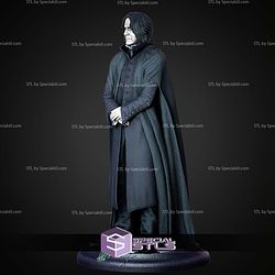 Severus Snape Museum Pose 1 6 Harry Potter STL Files