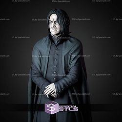 Severus Snape Museum Pose 1 6 Harry Potter STL Files