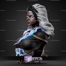 Storm Portrait Bust 380mm STL Files