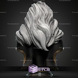 Storm Portrait Bust 380mm STL Files