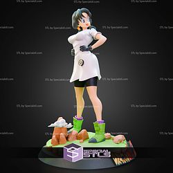 Videl Dragon Ball Z 1 10 STL Files
