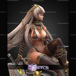 Zenobia Fate Go 148mm STL Files