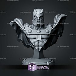 Magneto X Men Bust 152mm STL Files