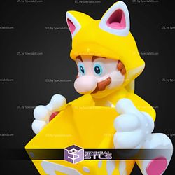 Mario Cat Palomera Popcorn Bucket STL Files