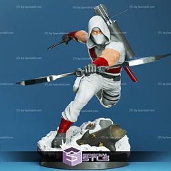 Storm Shadow in Action