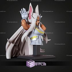 Mirko Rumic Sign Bust STL Files