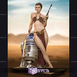 Princess Leia Classic and R2D2 STL Files