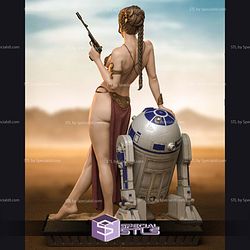 Princess Leia Classic and R2D2 STL Files