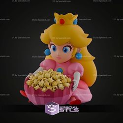 Princess Peach Palomera Popcorn Bucket STL Files
