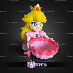 Princess Peach Palomera Popcorn Bucket STL Files