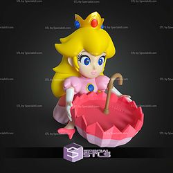Princess Peach Palomera Popcorn Bucket STL Files