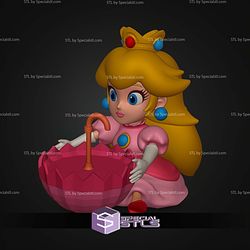 Princess Peach Palomera Popcorn Bucket STL Files