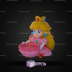 Princess Peach Palomera Popcorn Bucket STL Files