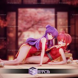 Ranma And Shampoo 1 7 STL Files