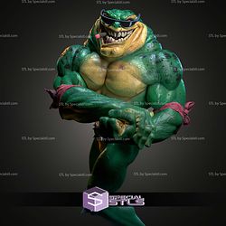 Rash Battletoads 212mm STL Files