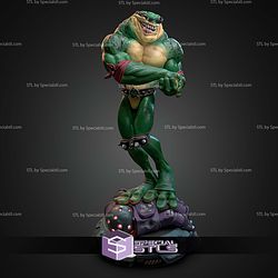 Rash Battletoads 212mm STL Files