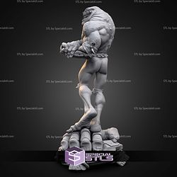 Rash Battletoads 212mm STL Files